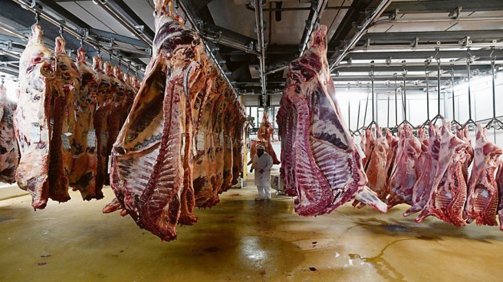 Cayó el consumo de carne vacuna más de un 11% anual