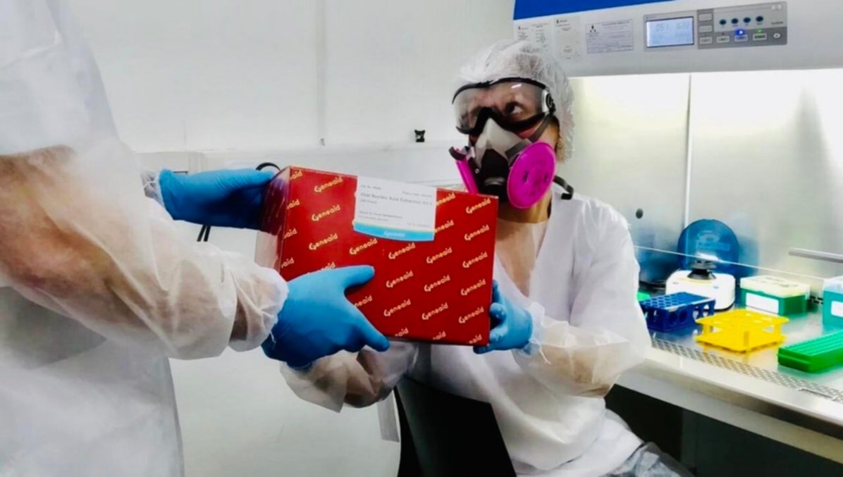 La UNLP ya realizó más de 20 mil testeos de coronavirus
