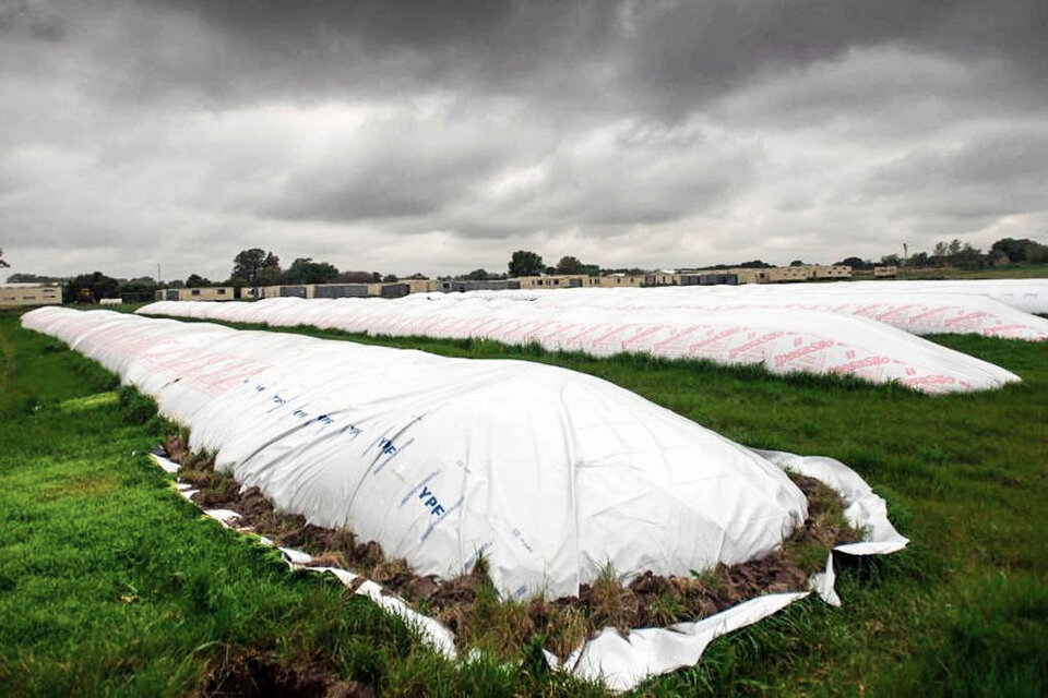 El campo retiene USD 14 mil millones y presiona por una devaluación